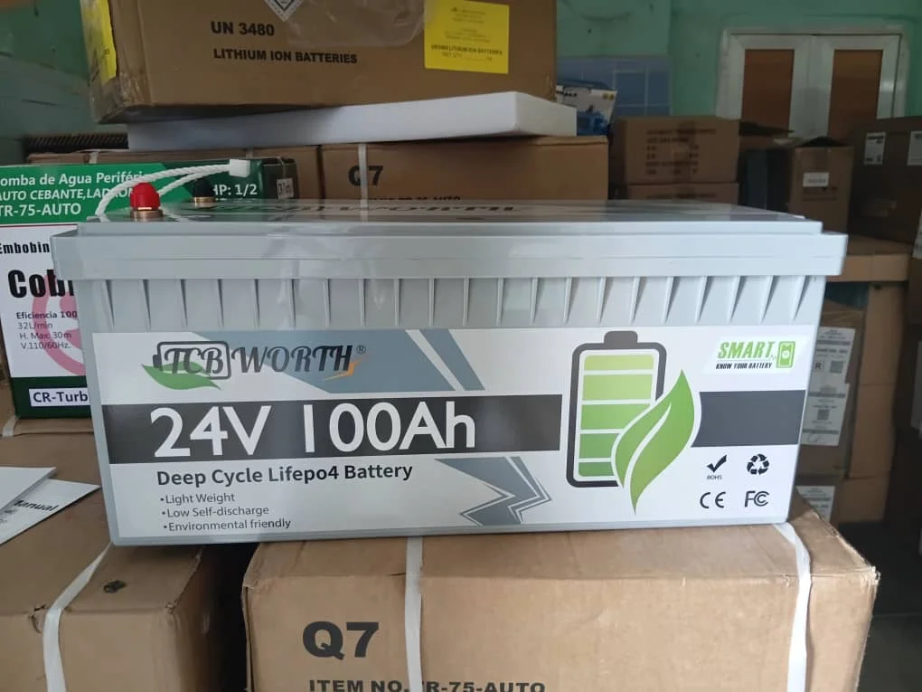 Batería de 24v y 100ah